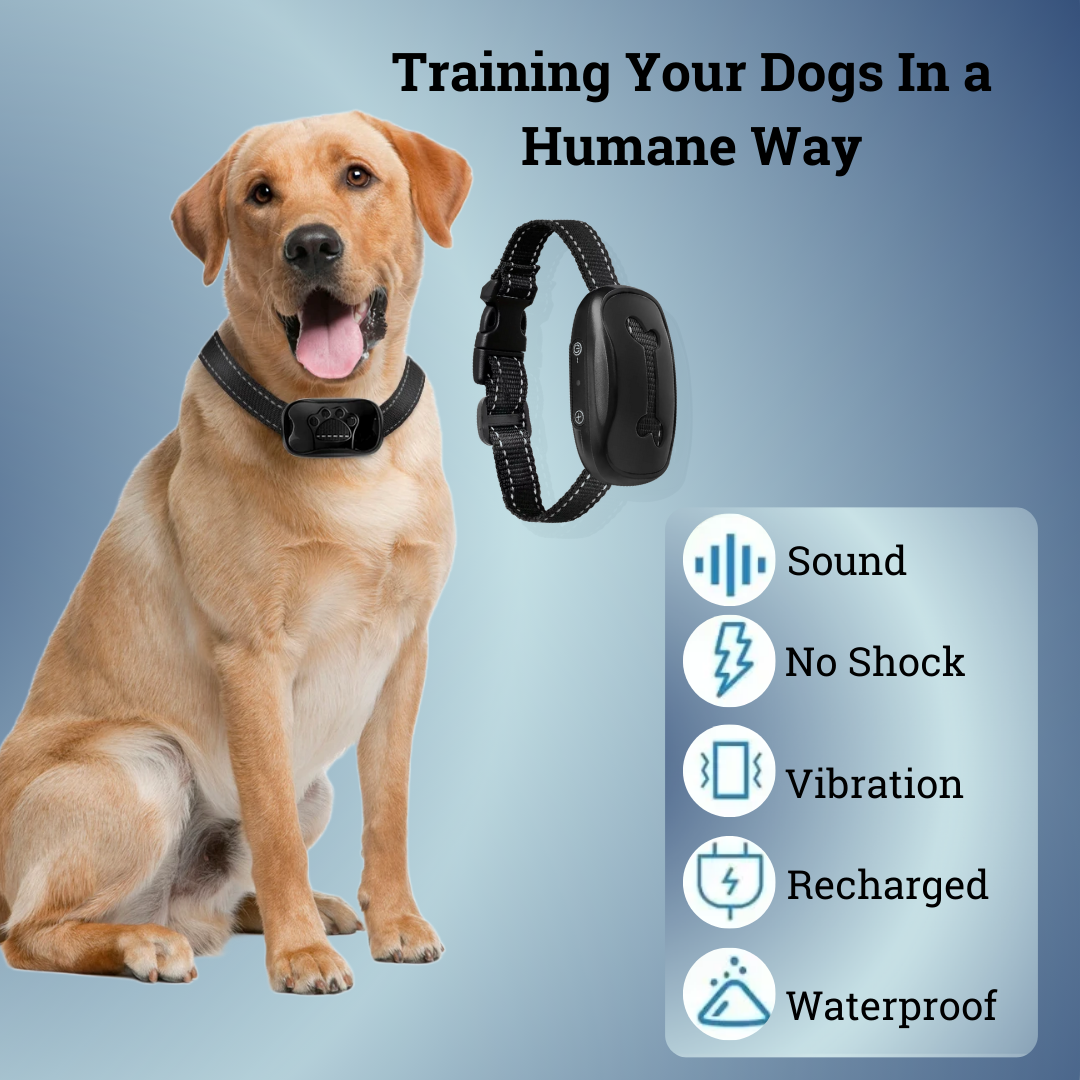 Ergonomic Rechargeable Anti-Bark Collar