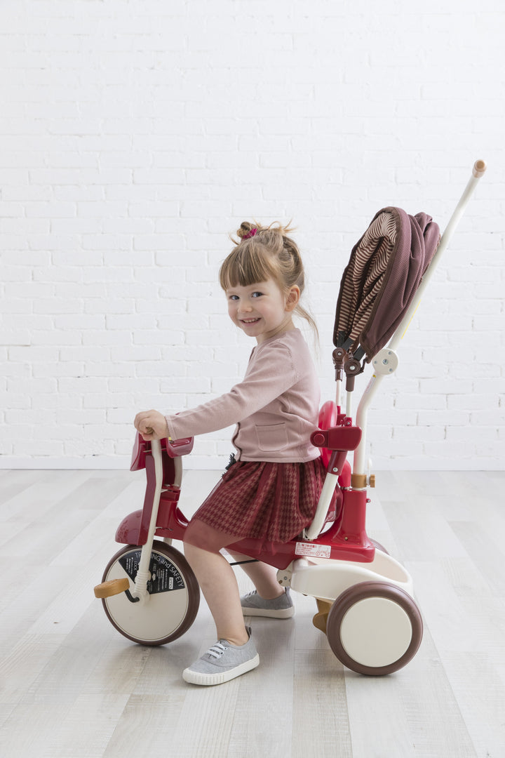Foldable Tricycle with Canopy - iimo Tricycle Type SS