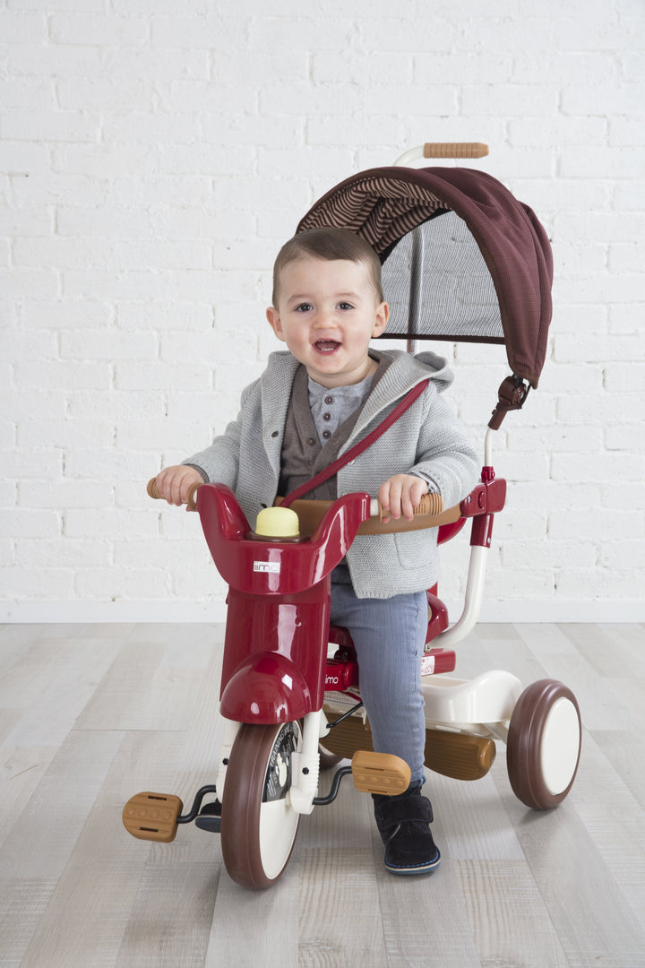Foldable Tricycle with Canopy - iimo Tricycle Type SS
