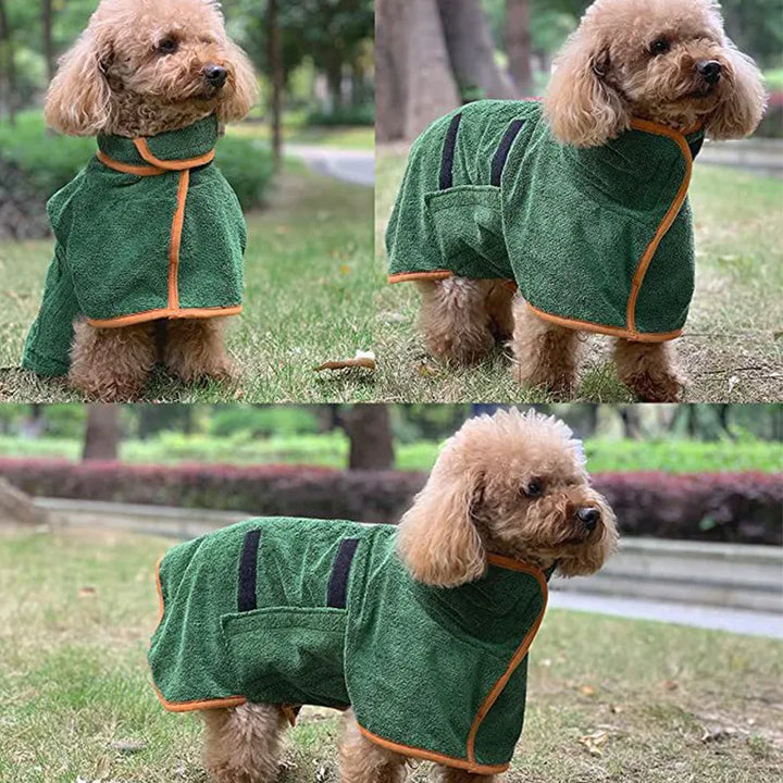 dog with neck adjusted by hook and loop