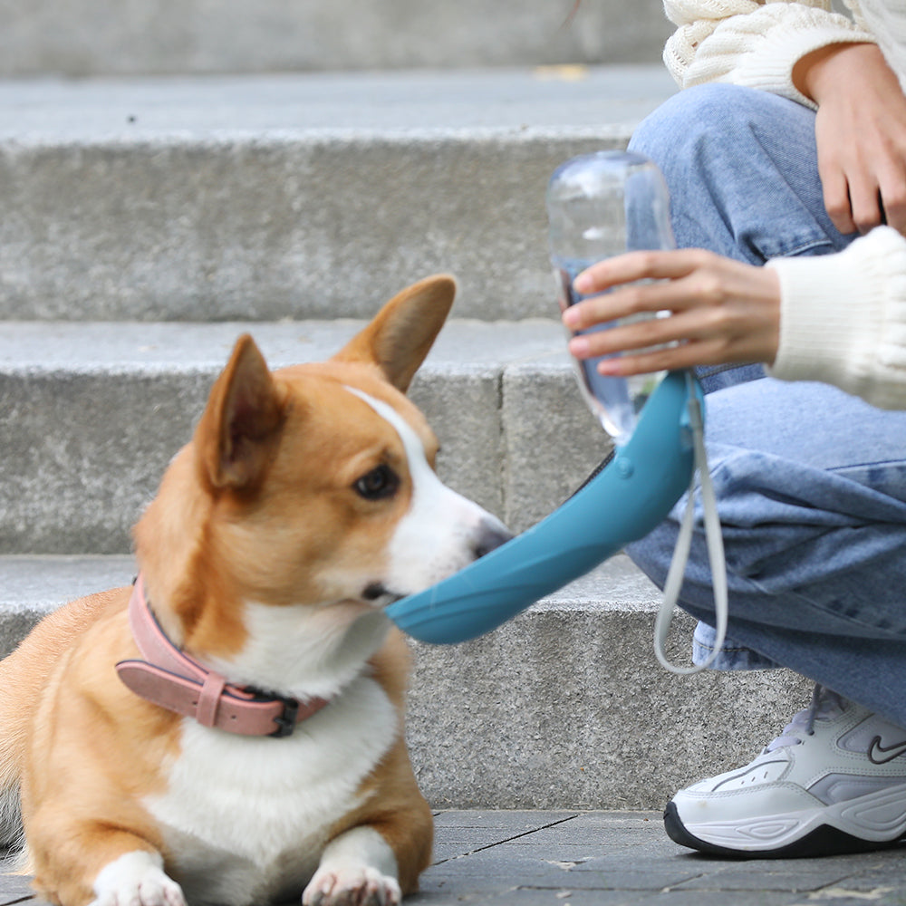 Portable Dog Water Bottle - Leak-Proof Design