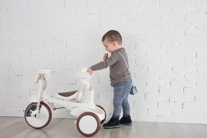 Foldable Tricycle with Canopy - iimo Tricycle Type SS