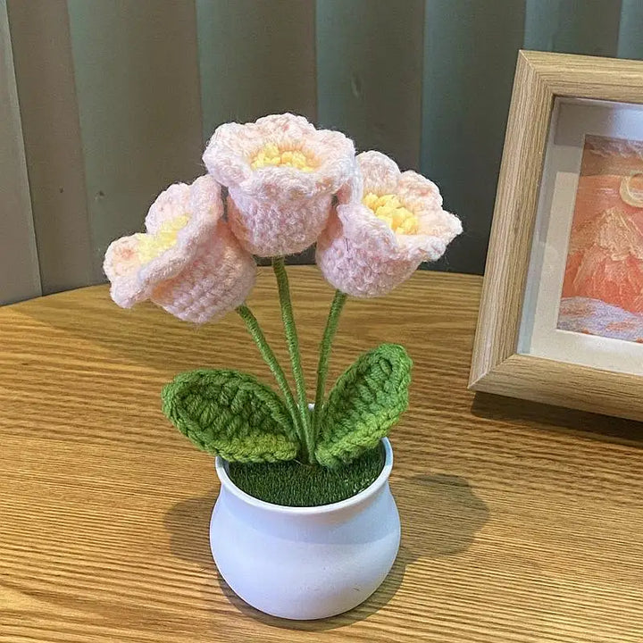 Mini DIY Rose Flower Pot