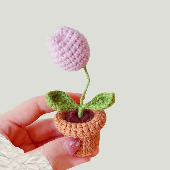 Mini DIY Rose Flower Pot
