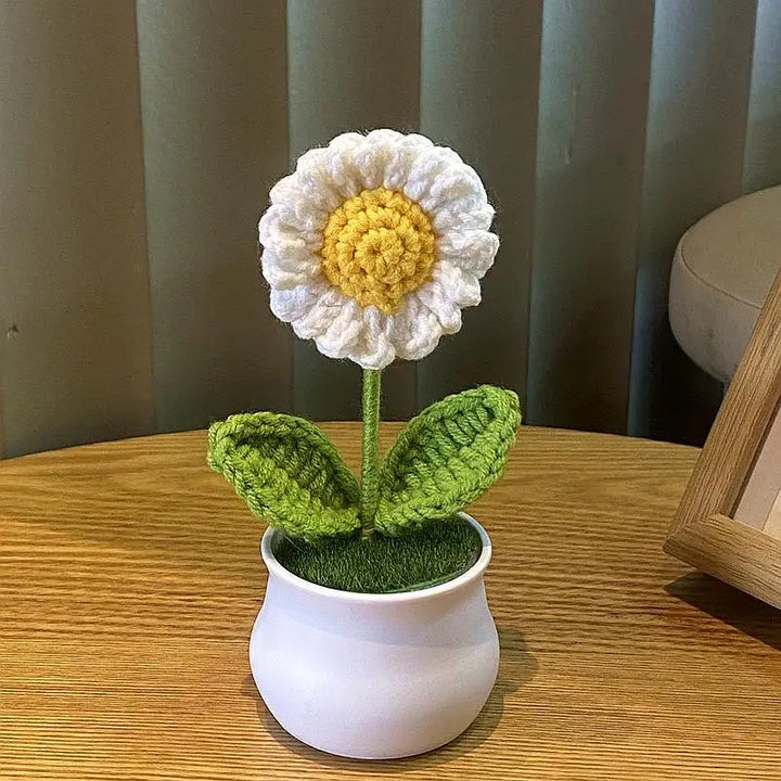 Mini DIY Rose Flower Pot