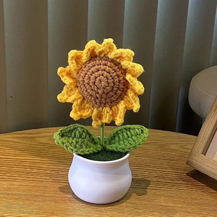 Mini DIY Rose Flower Pot