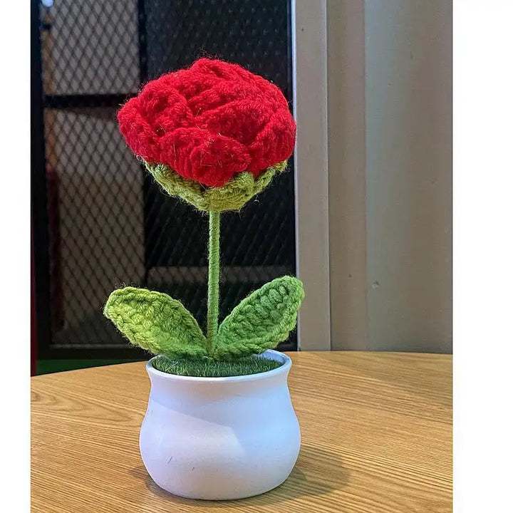 Mini DIY Rose Flower Pot