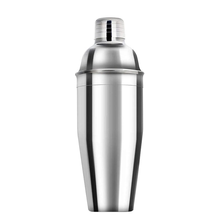 Stainless Cocktail Shaker Set