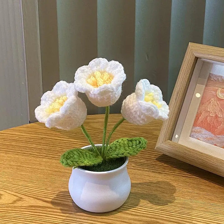 Mini DIY Rose Flower Pot