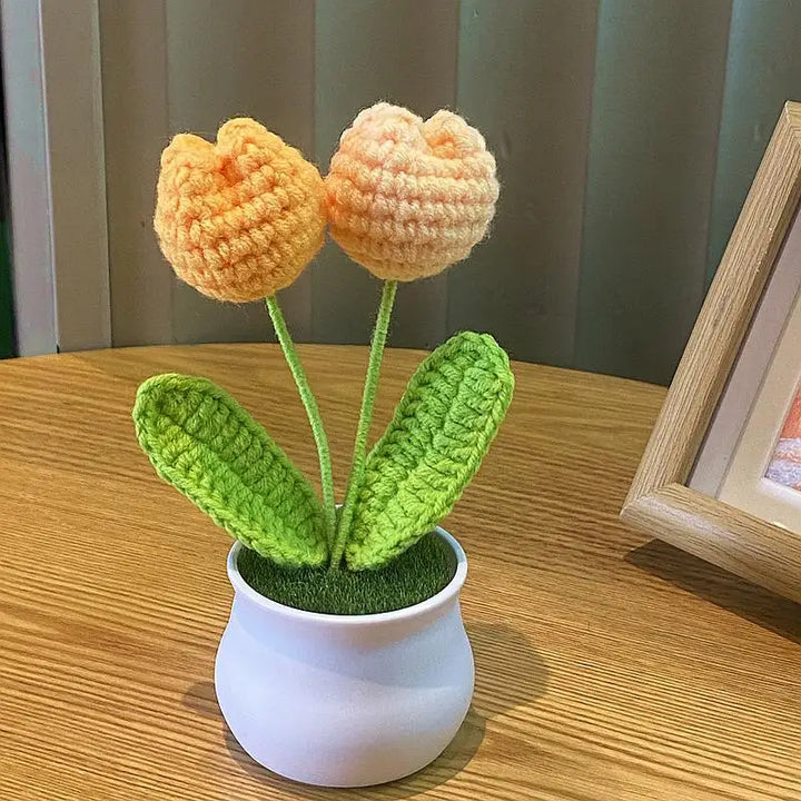 Mini DIY Rose Flower Pot