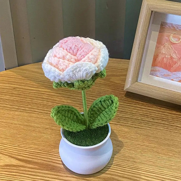 Mini DIY Rose Flower Pot