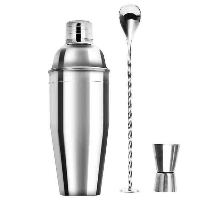Stainless Cocktail Shaker Set