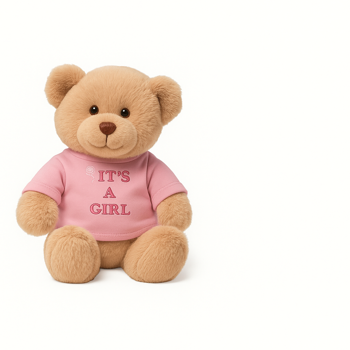 DIY Teddy Bear Kit