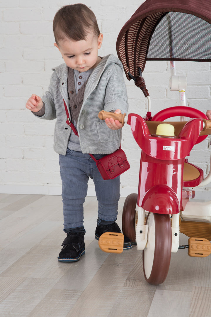 Foldable Tricycle with Canopy - iimo Tricycle Type SS