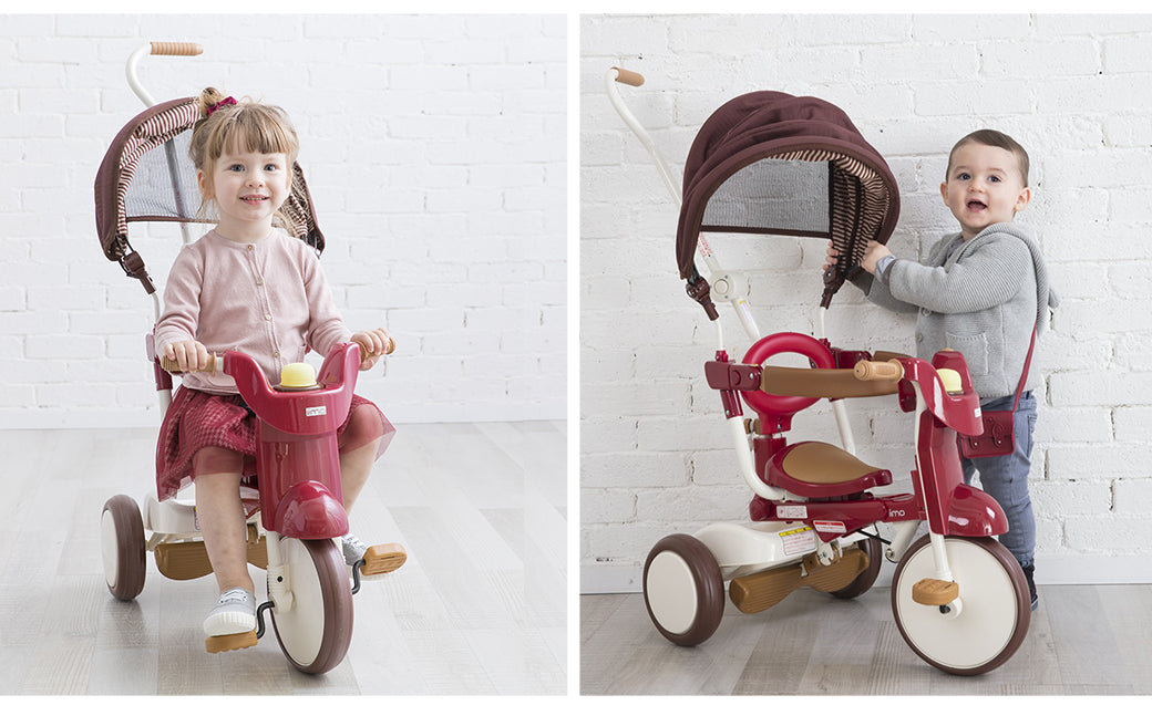 Foldable Tricycle with Canopy - iimo Tricycle Type SS