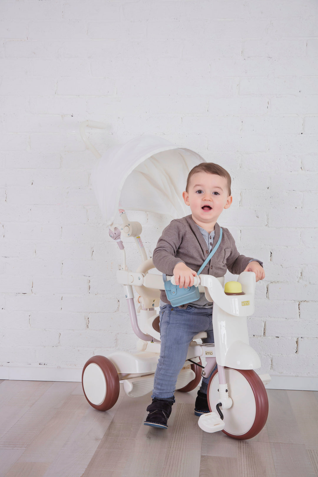 Foldable Tricycle with Canopy - iimo Tricycle Type SS
