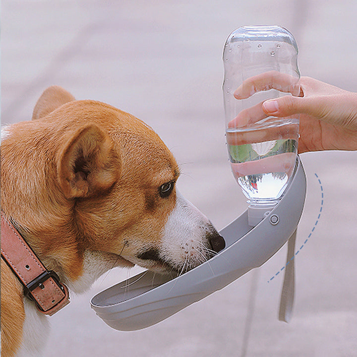 Portable Dog Water Bottle - Leak-Proof Design