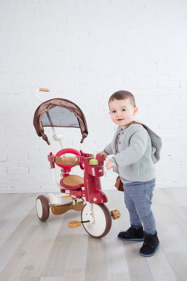 Foldable Tricycle with Canopy - iimo Tricycle Type SS